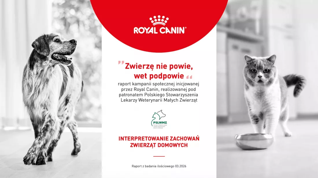 badanie_zwierzeniepowiewetpodpowie